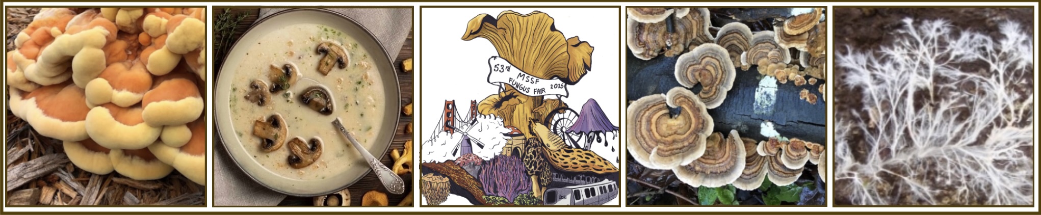 2025 Fungus Fair Panel