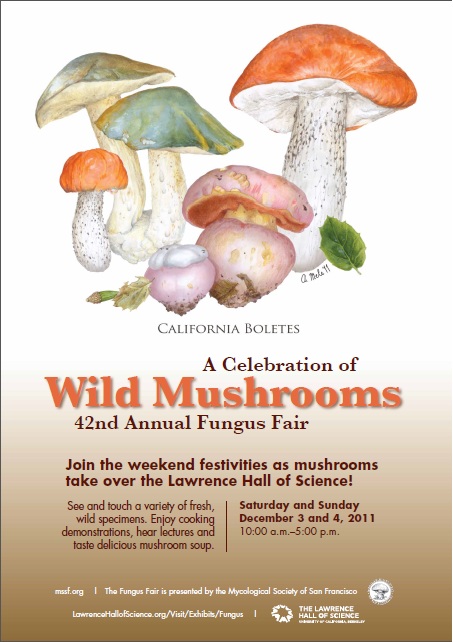 Fungus Fair 2011