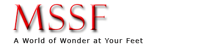 MSSF Logo