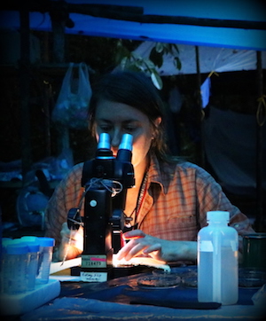 M. Catherine Aime, Ph.D.