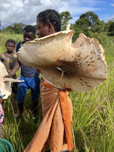 Zambia2