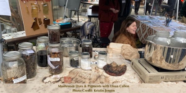 Mushroom Dyes and Pigments