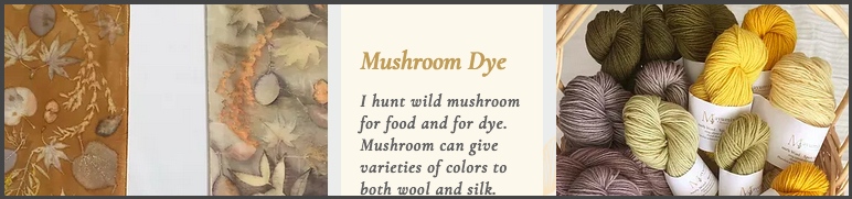 Mushroom Dye Panel