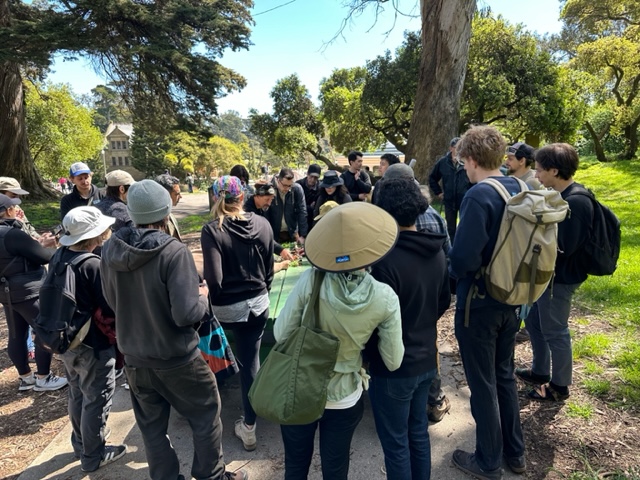 Golden Gate Park foray participants