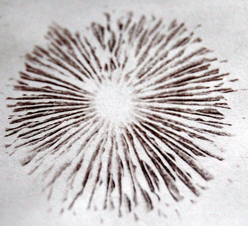 Spore Print, Alan Rockefeller