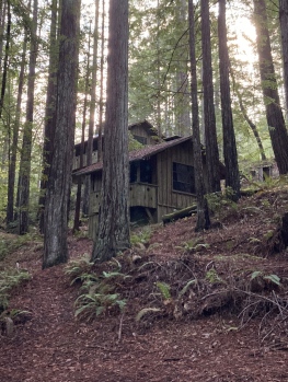 Cabin at Mendo Camp