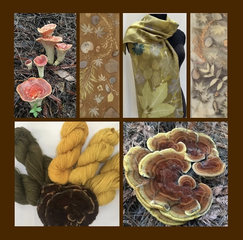 Collage of images from Mayumix